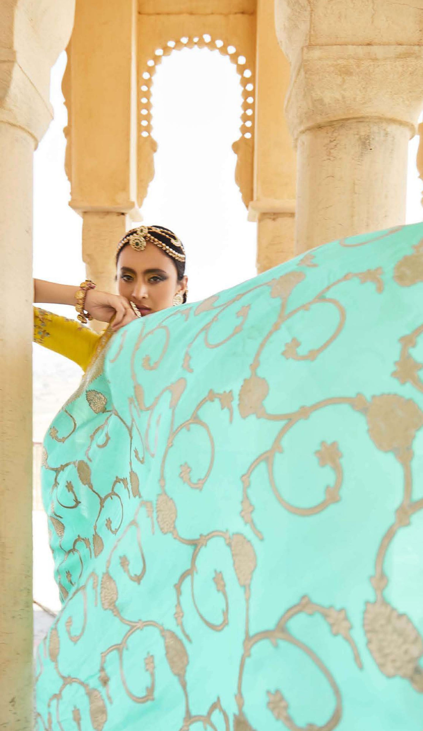 Aqua green Dola Silk Sequins Sindhuri Rani Wedding saree