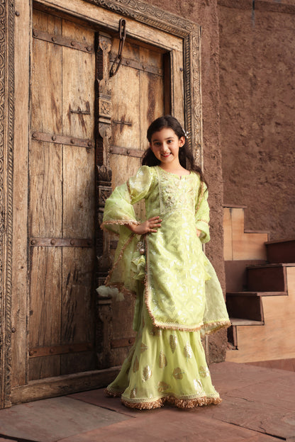 Pista Green Embroidery Kurti Sharara