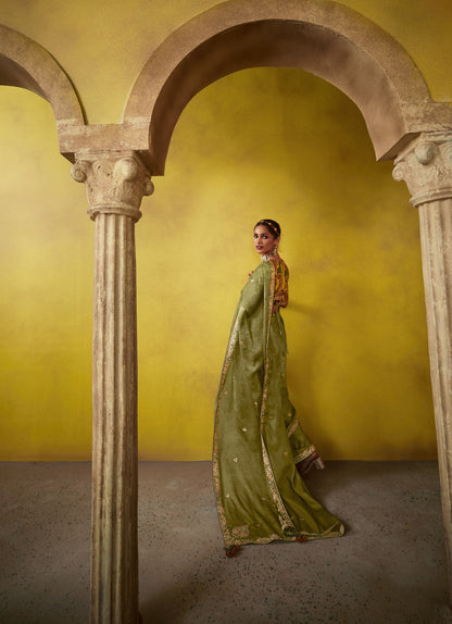 Mehendi Green Glass Tissue Dhaga & Thread Embroidered Divani Saree