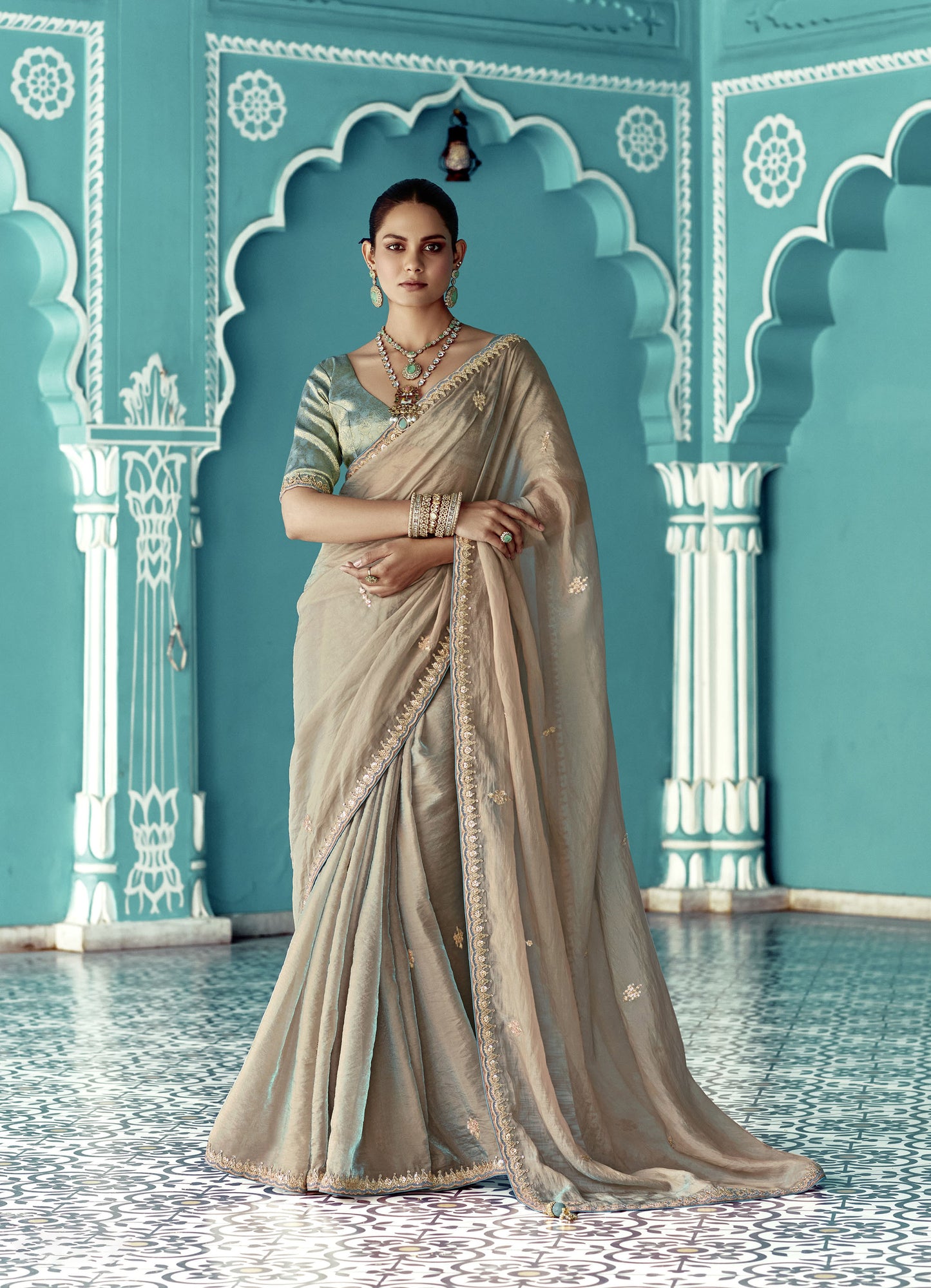 Grey Glass tissue Organza & Crush Moti Embroidered Festive Amber Saree
