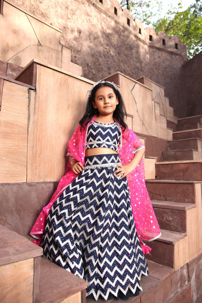 Hot Pink Cape with Dark Blue Lehenga Choli