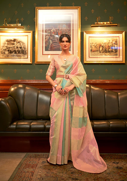Pale Multi color Kenzo Organza Saree