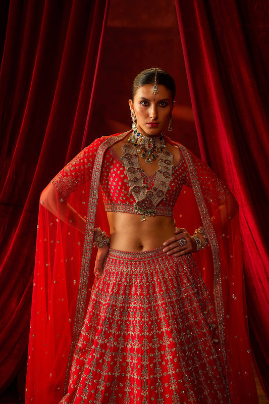 Red Raw Silk Hand & Machine Embroidered Lehenga Set