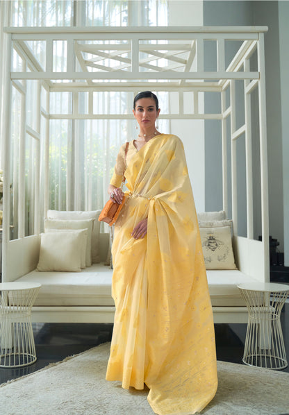 Yellow Kashidha Lucknowi Chikankari woven saree