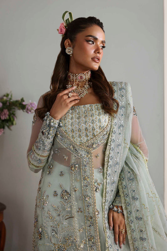 Aetheria- Sky Blue Organza Heavy Embroidered Sharara