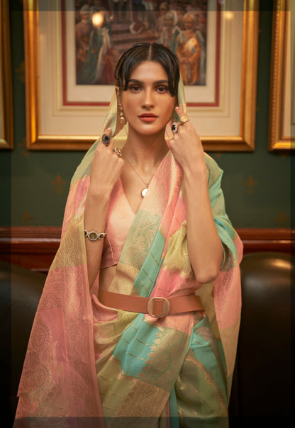 Pale Multi color Kenzo Organza Saree