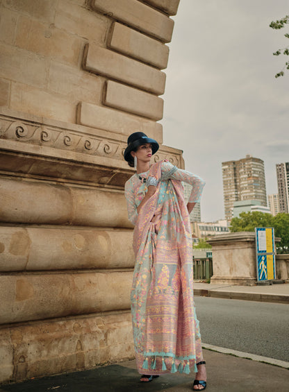 Light Green Kalila Silk Kashmiri Organza handloom saree