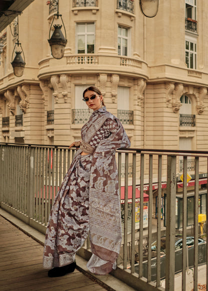 Brown Kaneeza Lucknow Chikankari Zari Saree