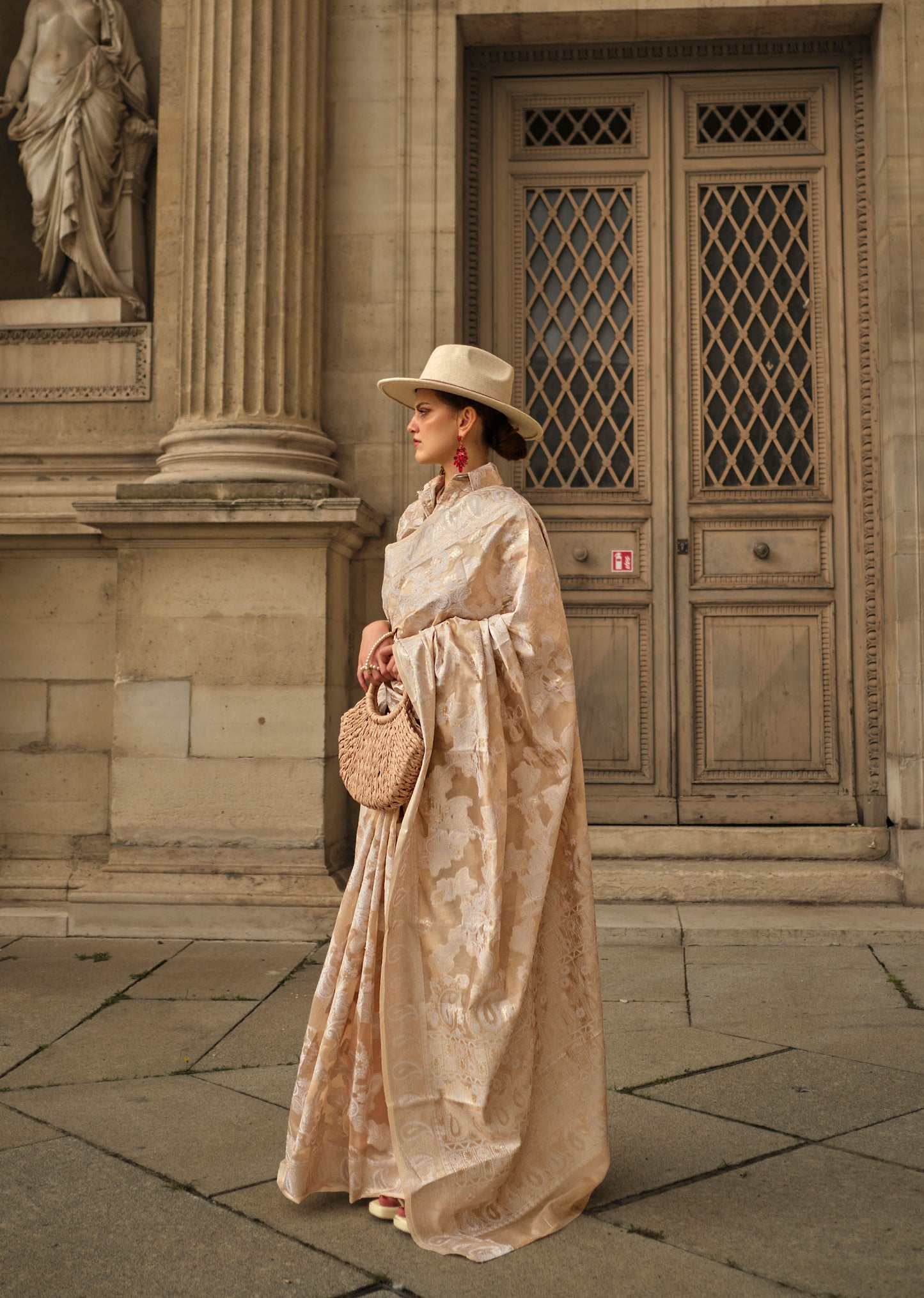 Beige Kaneeza Lucknow Chikankari Zari Saree