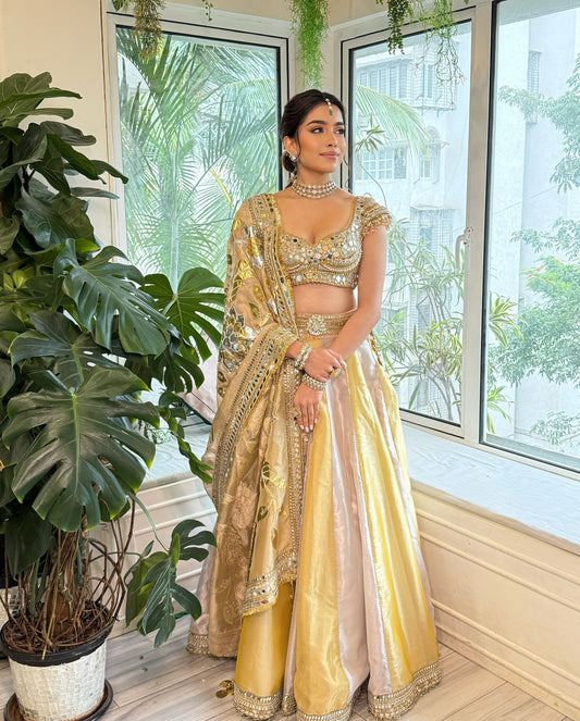 Custom Heavy Regal Lehenga