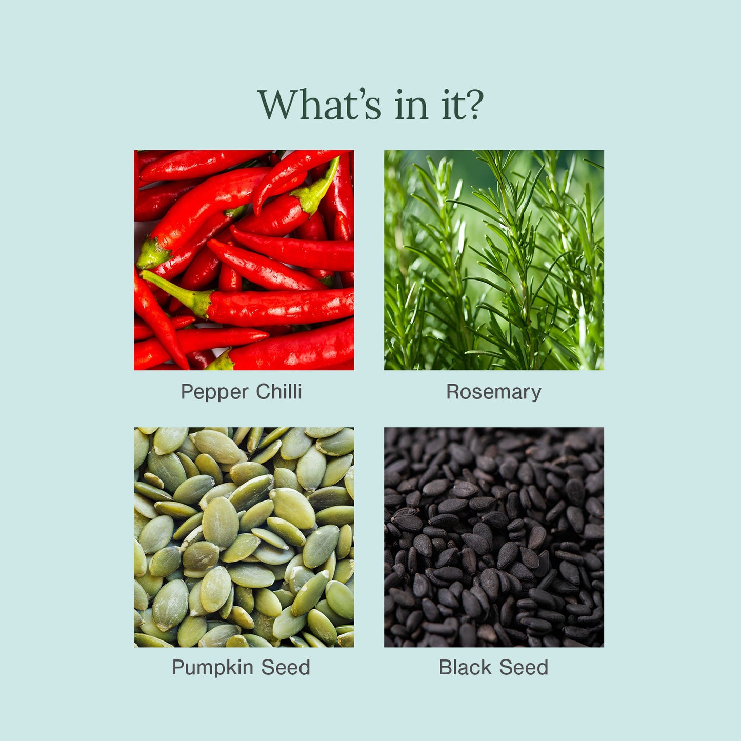 Juicy Chemistry Chilli Hair Oil 30ml & 100ml