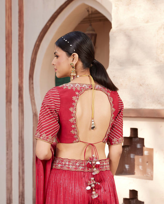 Mughal Red Raw Silk Hand Embroidered Lehenga