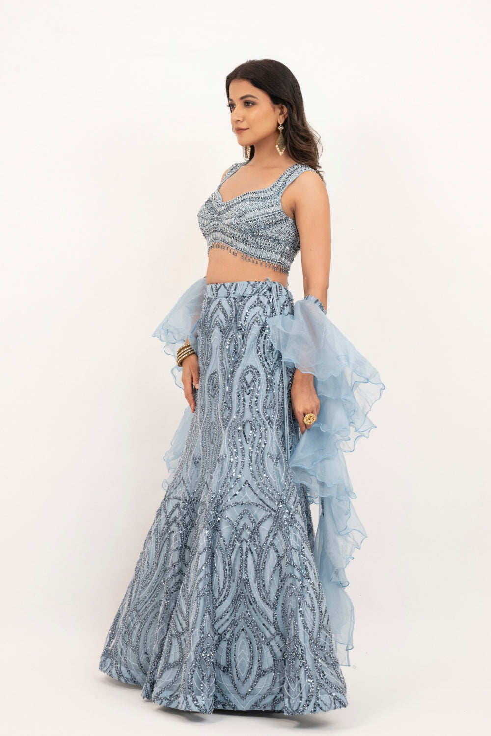 Powder Blue net lehenga choli with Sequins and hand cut dana work