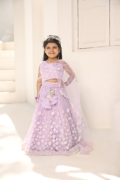 Lilac Embroidred Lehenga Choli