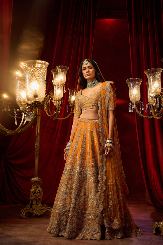 Rust Raw Silk Hand & Machine Embroidered Lehenga Set