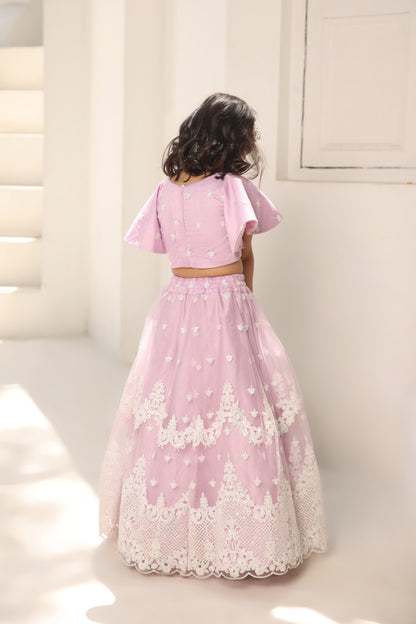 Lilac Embroidred Crop Top Lehenga