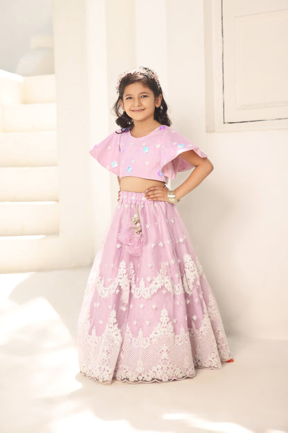 Lilac Embroidred Crop Top Lehenga