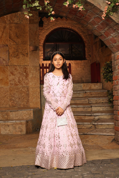 Lilac Embroidered Anarkali