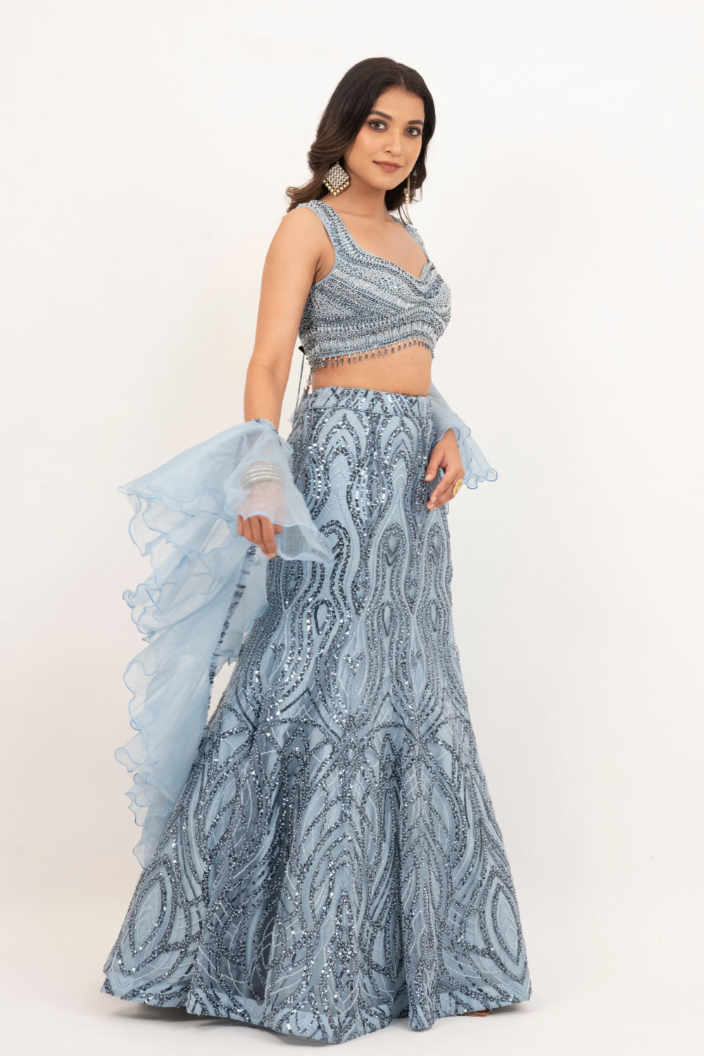 Powder Blue net lehenga choli with Sequins and hand cut dana work