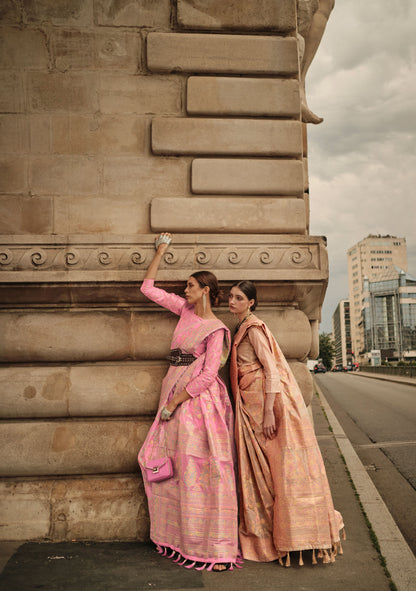 Beige Kalila Silk Kashmiri Organza handloom saree