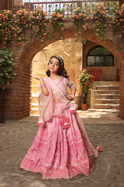 Pink Sequence Embroidery Lehenga Choli