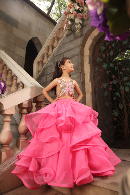 Pink Ruffel Skirt with Embroidered Butterfly Top