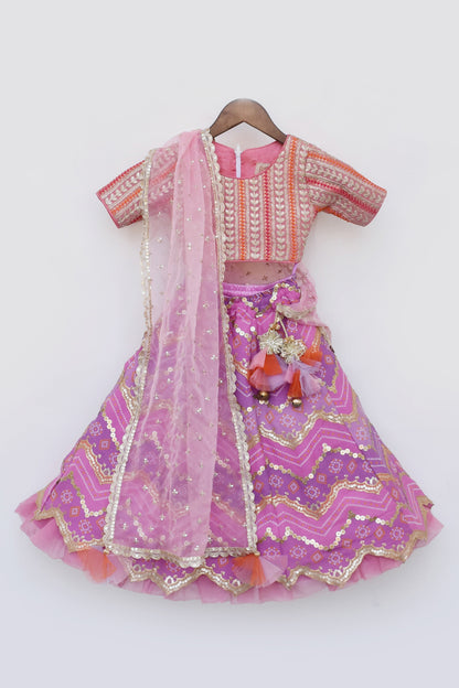 Pink Embroidred Choli with Purple Lehenga
