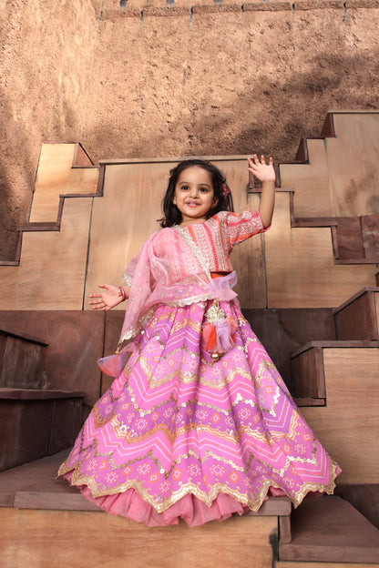 Pink Embroidred Choli with Purple Lehenga