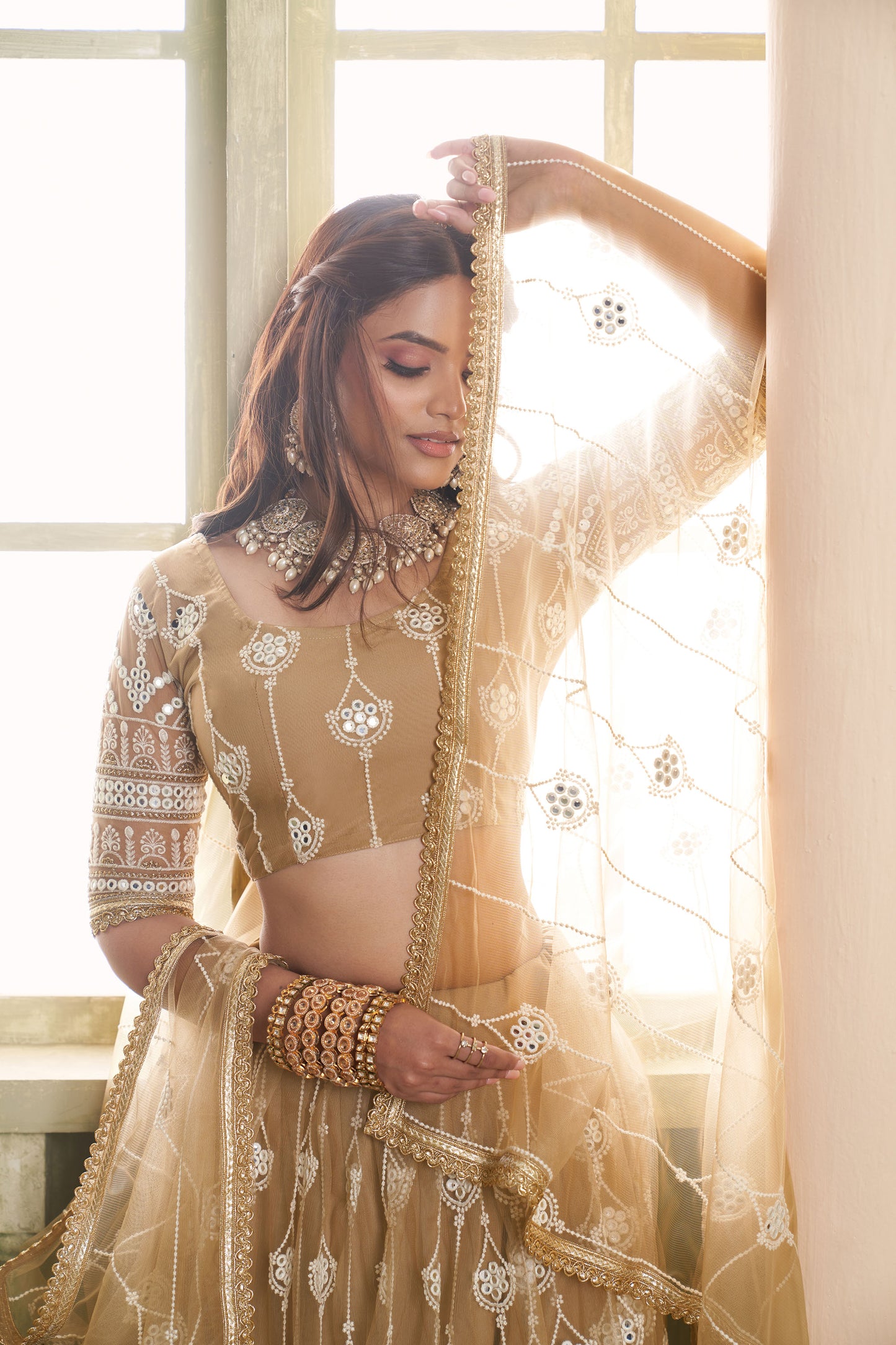 Brown Butterfly Net Thread & Sequin Work Wedding Guest Lehenga