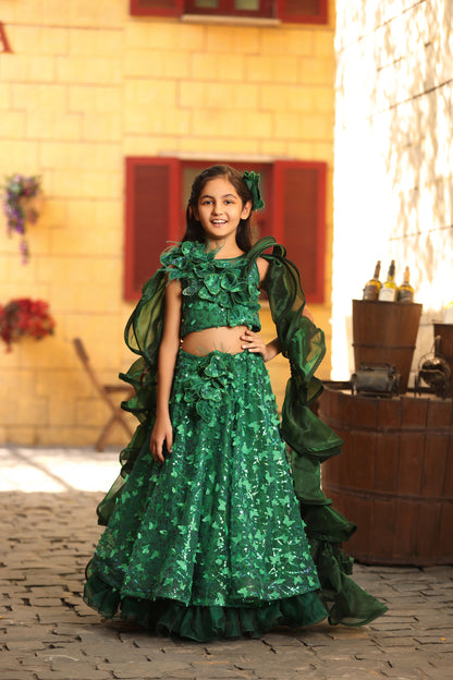 Green Butterfly Choli with Lehenga