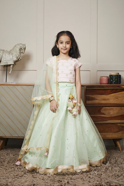 Pink Embroidery Choli And Green Net Lehenga Dupatta Set