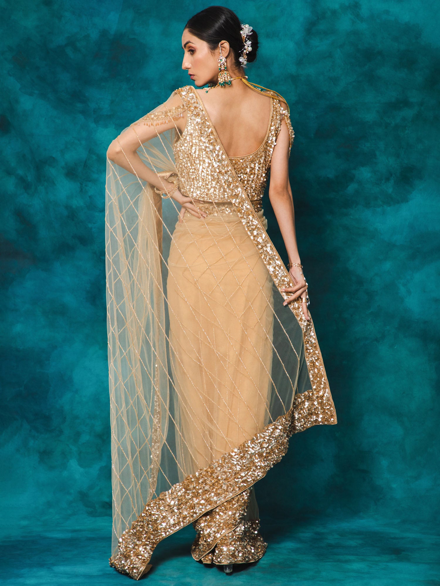 Beige Color Heavy Sequence Embroidery Net Saree
