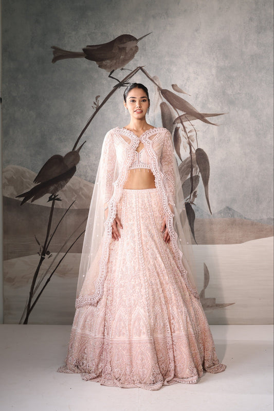 Designer Pink with Heavy Embroidery Wedding Lehenga