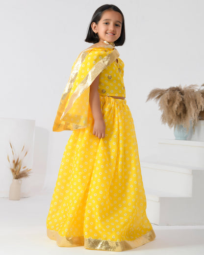 Yellow Bandhani Chanderi Lehenga Set