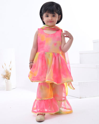 Multi Coloured Georgette Sharara Set