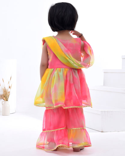 Multi Coloured Georgette Sharara Set