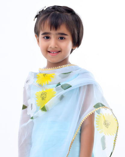 Sky Blue Cotton Silk Hand Painted Sharara Set