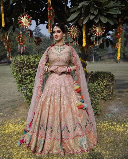 Blush Pink Organza Sequined With Zari And Resham Work Bridal Lehenga