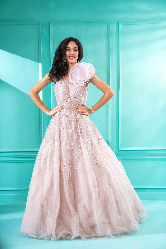 Powder Pink Fully Embroidered Tulle Flared Gown