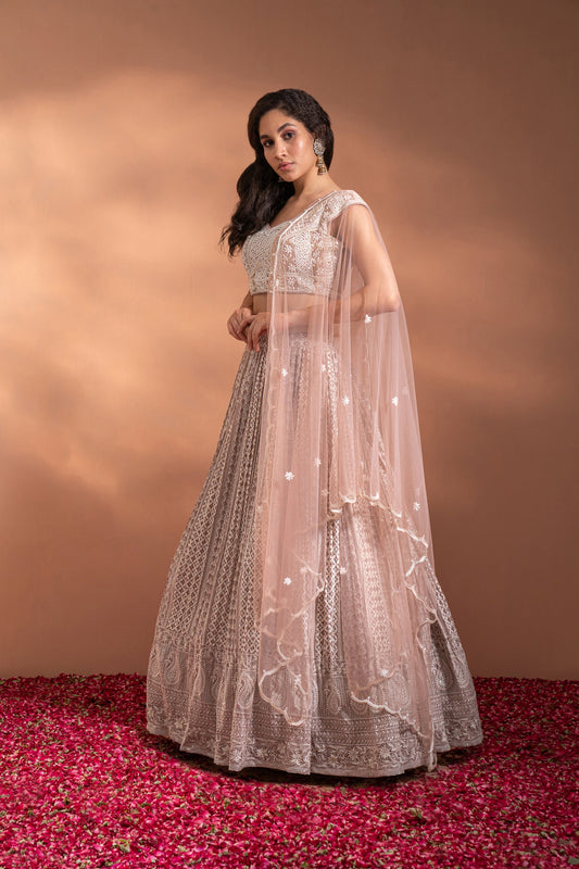 Nude Pink Lehenga Set in Net & Satin.