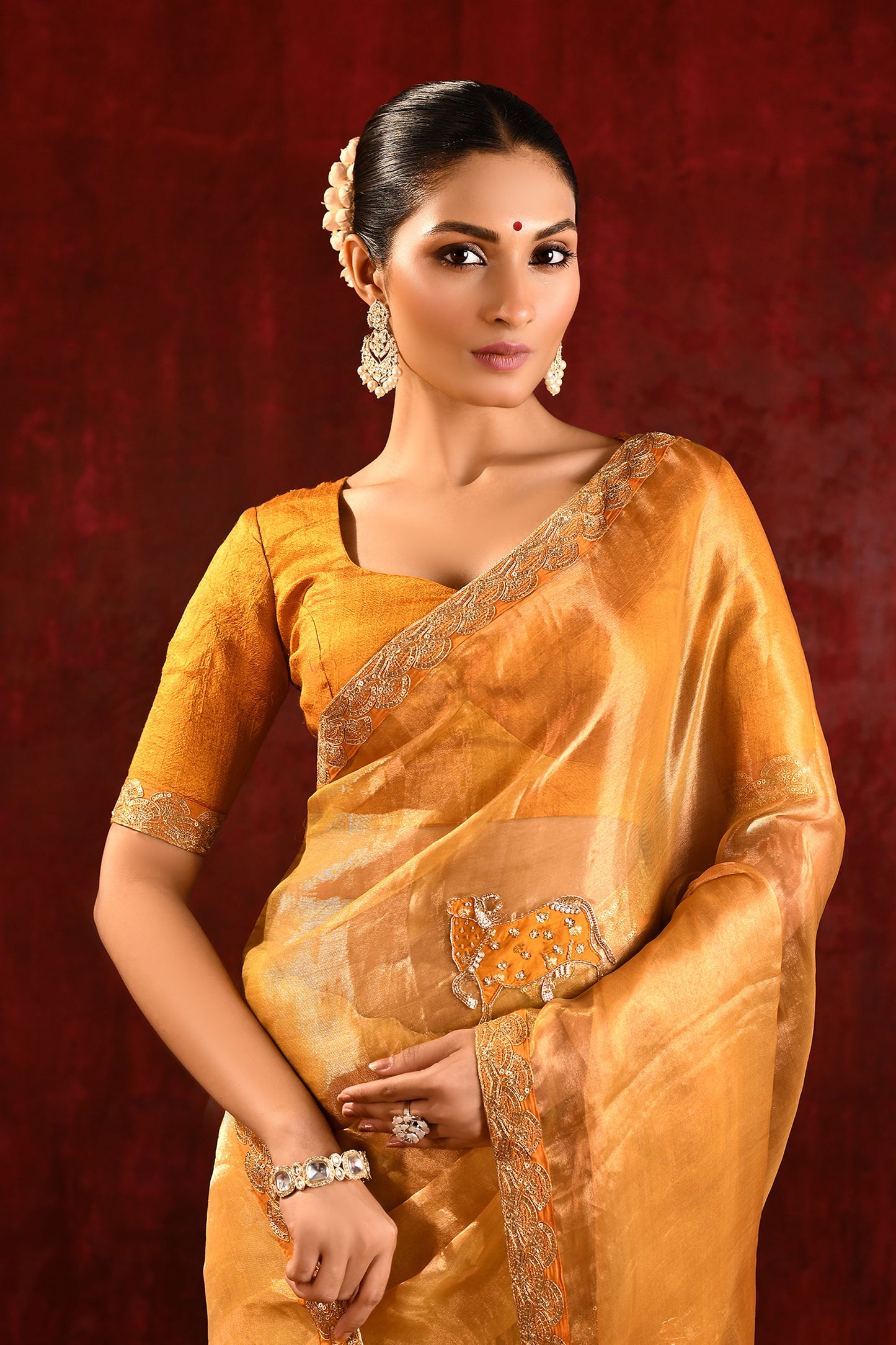 Jewel Gold Embroidered Tissue Gomatha Saree