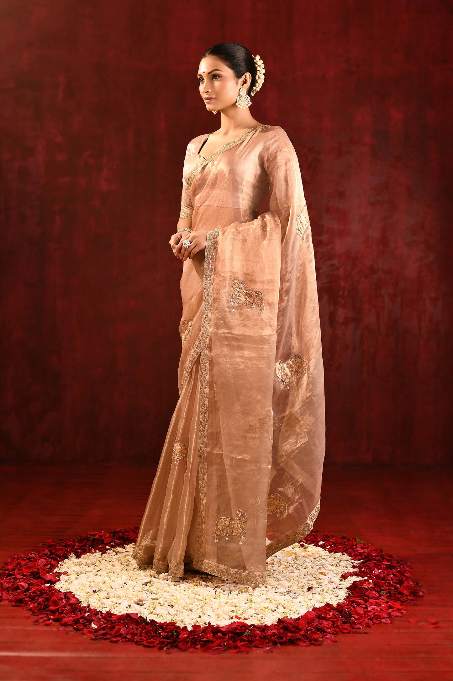 Pastel Gold Embroidered Gomatha Tissue Saree