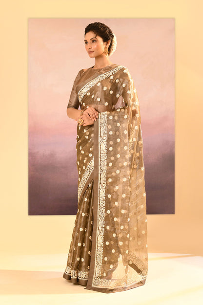 Earthy Green Tissue Embroidered Saree