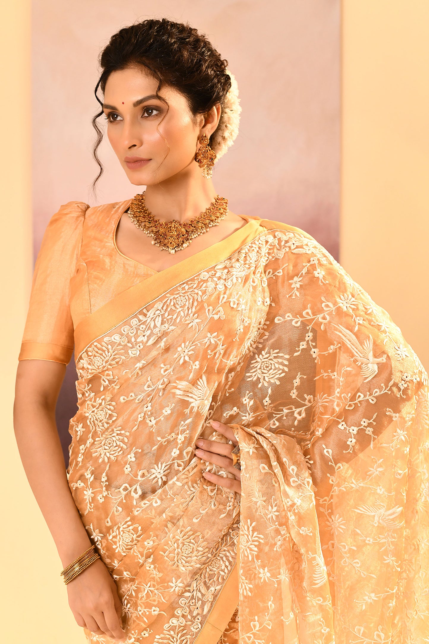 Golden Beige Tissue Embroidered Saree