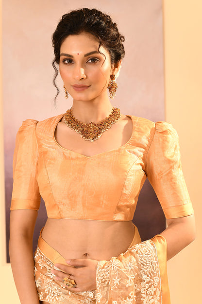 Golden Beige Tissue Embroidered Saree