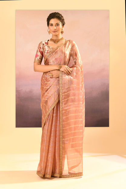 Pastel Beige Embroidered Tissue Saree