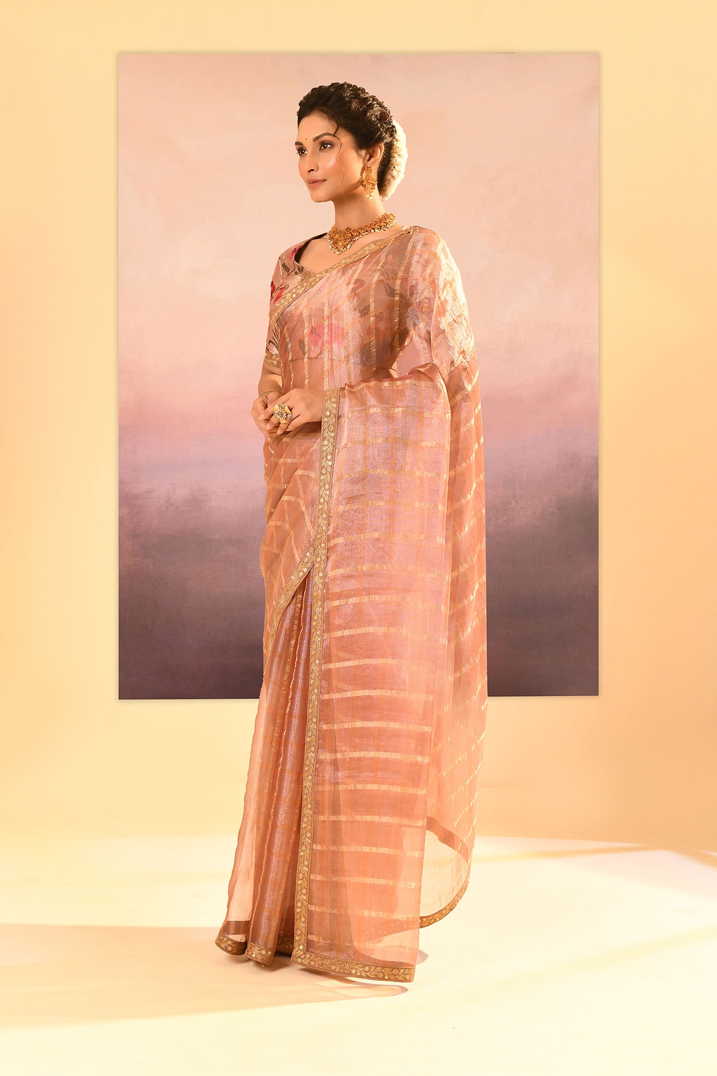Pastel Beige Embroidered Tissue Saree