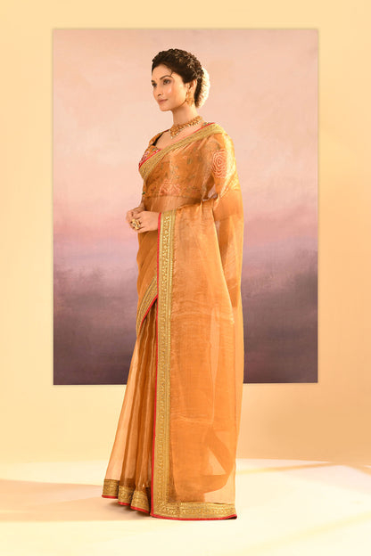 Jewel Gold Embroidered Metallic Tissue Saree