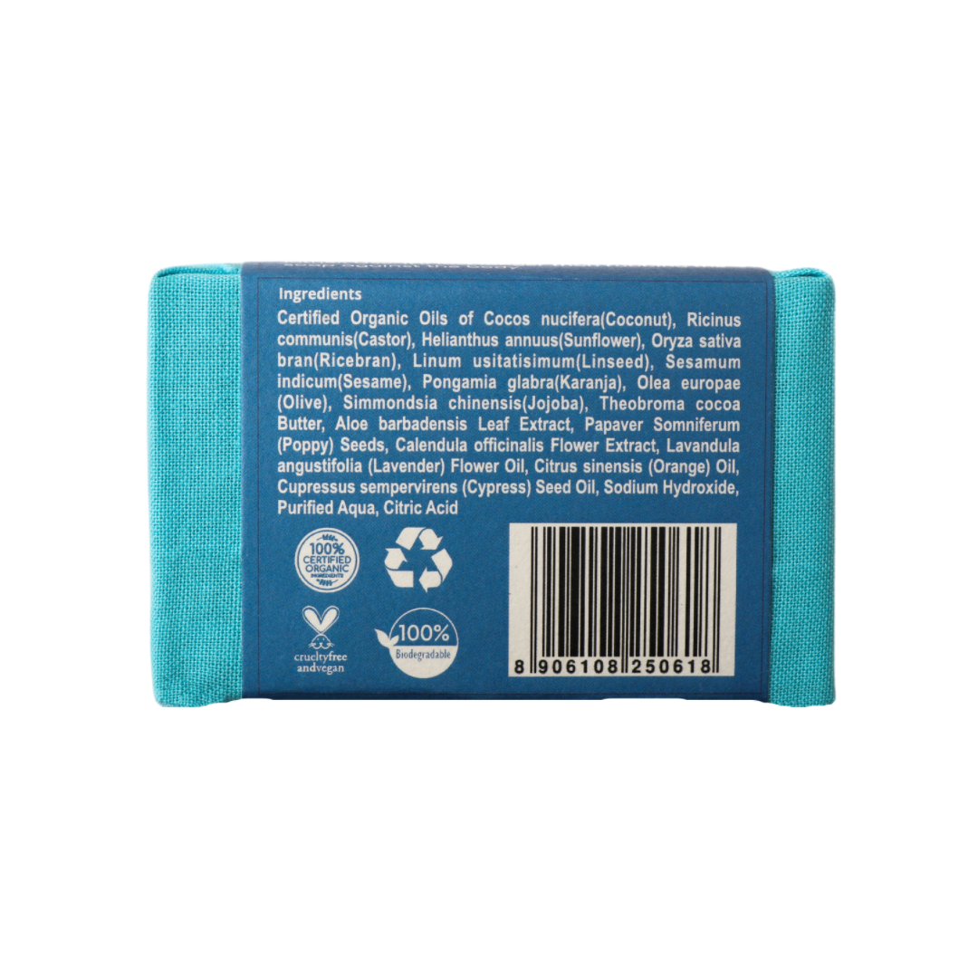 Exfoliate Soap (100gm), Rustic Art