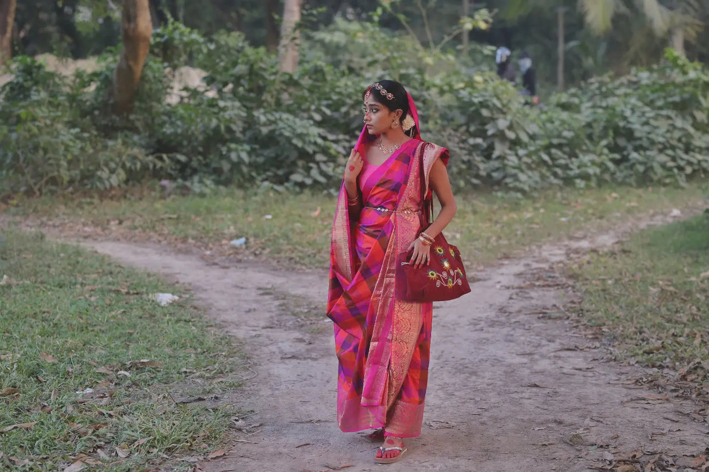 Handloom Pink Multi Colour Box Checks Pure Silk Banarasi Saree With Hot Pink Gold Zari Border